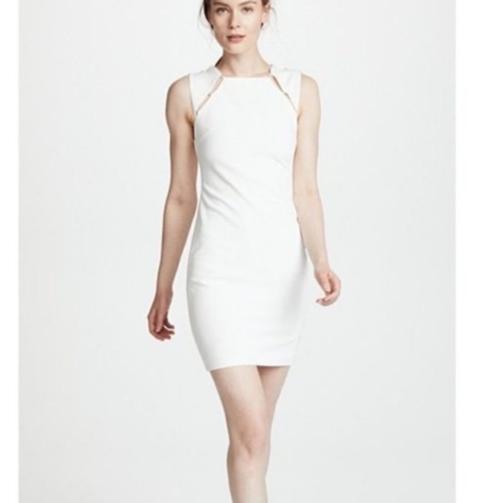 Alice + Olivia Ivory Sheath Dress with Silver Chain Trim - Picture 3 of 8